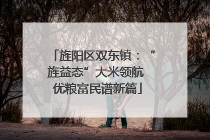 旌阳区双东镇：“旌益态”大米领航 优粮富民谱新篇