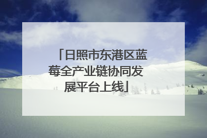 日照市东港区蓝莓全产业链协同发展平台上线