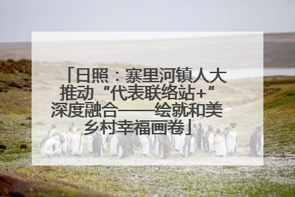 日照：寨里河镇人大推动“代表联络站+”深度融合——绘就和美乡村幸福画卷