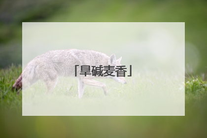 旱碱麦香