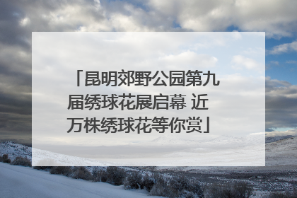 昆明郊野公园第九届绣球花展启幕 近万株绣球花等你赏