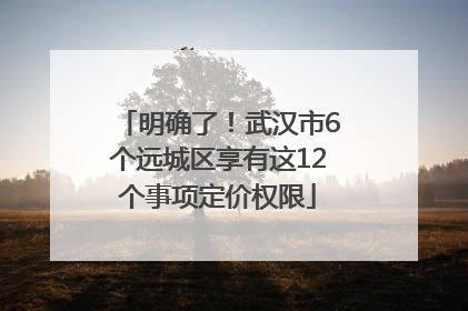 明确了！武汉市6个远城区享有这12个事项定价权限