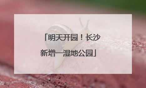明天开园！长沙新增一湿地公园