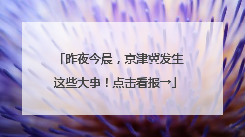 昨夜今晨，京津冀发生这些大事！点击看报→
