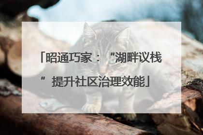 昭通巧家：“湖畔议栈”提升社区治理效能
