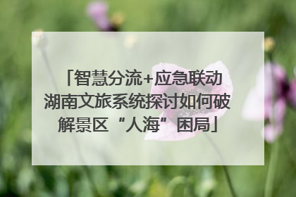 智慧分流+应急联动 湖南文旅系统探讨如何破解景区“人海”困局