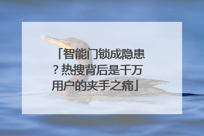 智能门锁成隐患？热搜背后是千万用户的夹手之痛