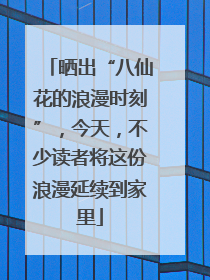 晒出“八仙花的浪漫时刻”，今天，不少读者将这份浪漫延续到家里