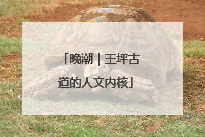 晚潮｜王坪古道的人文内核