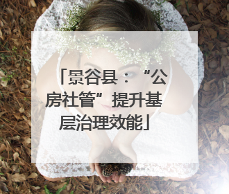 景谷县：“公房社管”提升基层治理效能