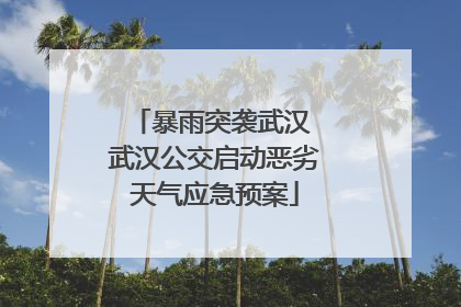 暴雨突袭武汉 武汉公交启动恶劣天气应急预案