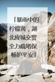暴雨中的柠檬黄，湖北应城交警全力疏堵保畅护平安
