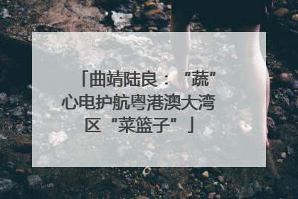 曲靖陆良：“蔬”心电护航粤港澳大湾区“菜篮子”
