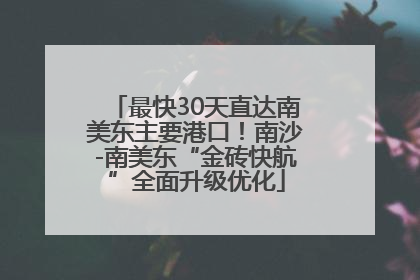 最快30天直达南美东主要港口！南沙-南美东“金砖快航”全面升级优化