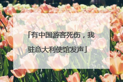 有中国游客死伤，我驻意大利使馆发声
