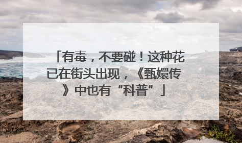 有毒，不要碰！这种花已在街头出现，《甄嬛传》中也有“科普”