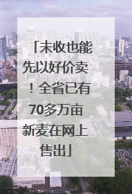 未收也能先以好价卖！全省已有70多万亩新麦在网上售出