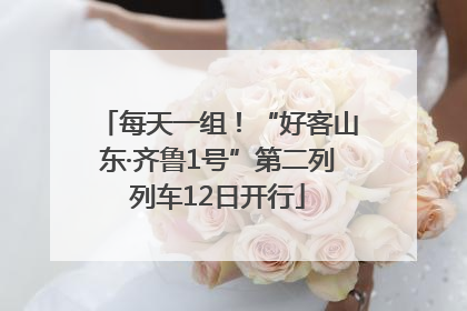 每天一组！“好客山东·齐鲁1号”第二列列车12日开行