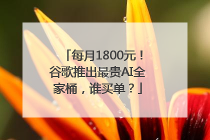 每月1800元！谷歌推出最贵AI全家桶，谁买单？