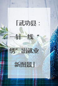 武功县：一针一线“绣”出就业新图景