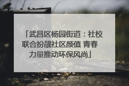 武昌区杨园街道：社校联合扮靓社区颜值 青春力量推动环保风尚