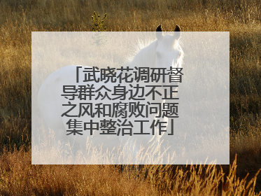 武晓花调研督导群众身边不正之风和腐败问题集中整治工作