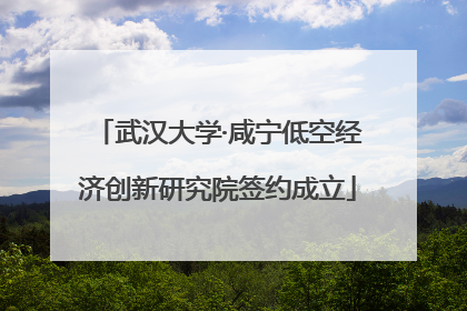 武汉大学·咸宁低空经济创新研究院签约成立