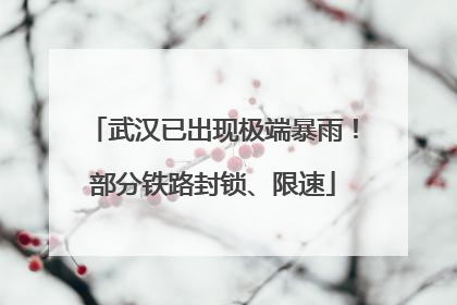武汉已出现极端暴雨！部分铁路封锁、限速