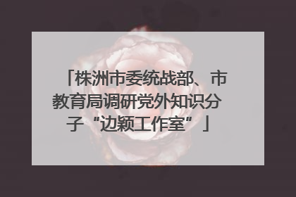 株洲市委统战部、市教育局调研党外知识分子“边颖工作室”