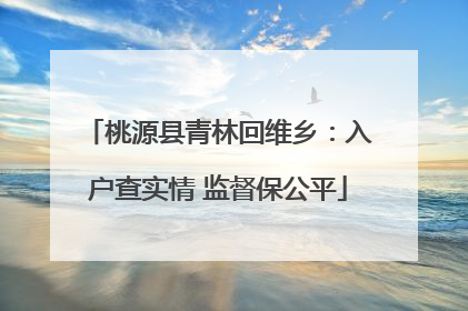 桃源县青林回维乡：入户查实情 监督保公平