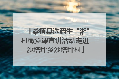 桑植县选调生“湘”村微党课宣讲活动走进沙塔坪乡沙塔坪村