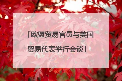 欧盟贸易官员与美国贸易代表举行会谈