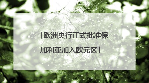 欧洲央行正式批准保加利亚加入欧元区