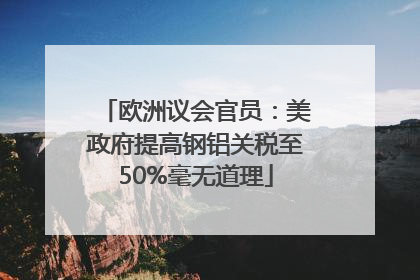 欧洲议会官员：美政府提高钢铝关税至50%毫无道理