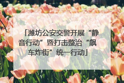 潍坊公安交警开展“静音行动”暨打击整治“飙车炸街”统一行动