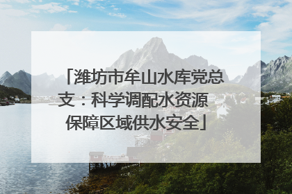 潍坊市牟山水库党总支：科学调配水资源 保障区域供水安全