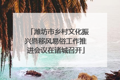 潍坊市乡村文化振兴暨移风易俗工作推进会议在诸城召开