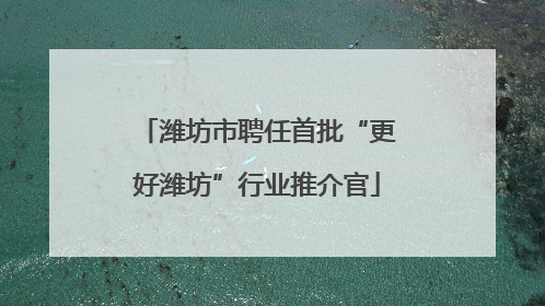 潍坊市聘任首批“更好潍坊”行业推介官