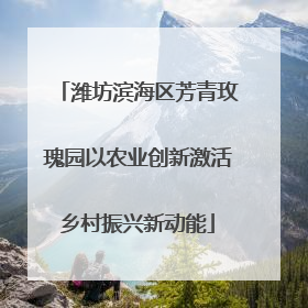 潍坊滨海区芳青玫瑰园以农业创新激活乡村振兴新动能