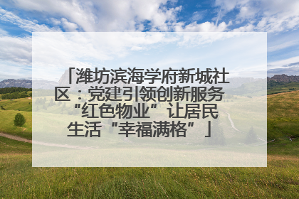 潍坊滨海学府新城社区：党建引领创新服务 “红色物业”让居民生活“幸福满格”