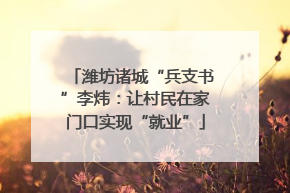 潍坊诸城“兵支书”李炜：让村民在家门口实现“就业”