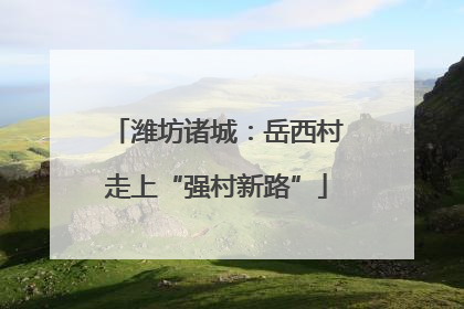 潍坊诸城：岳西村走上“强村新路”