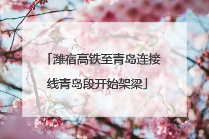潍宿高铁至青岛连接线青岛段开始架梁