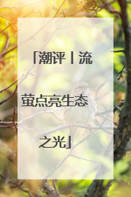 潮评丨流萤点亮生态之光