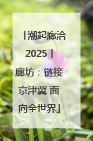 潮起廊洽2025丨廊坊：链接京津冀 面向全世界