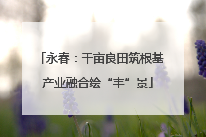 永春：千亩良田筑根基 产业融合绘“丰”景