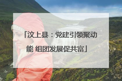 汶上县：党建引领聚动能 组团发展促共富