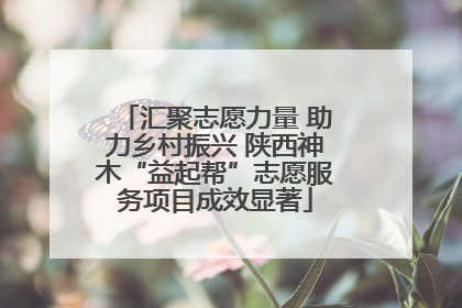 汇聚志愿力量 助力乡村振兴 陕西神木“益起帮”志愿服务项目成效显著