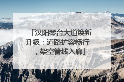 汉阳琴台大道焕新升级：道路扩容畅行，架空管线入廊
