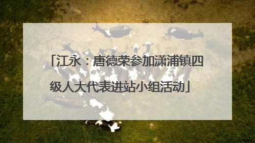 江永：唐德荣参加潇浦镇四级人大代表进站小组活动